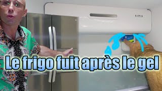 Le frigo fuit depuis le gel Fuite deau de la cartouche de filtration durite ou du réservoir [upl. by Durrett886]