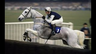 Desert Orchid Channel 4 Documentary 1989 [upl. by Ho]