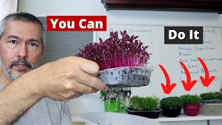 Easiest Way To Grow Microgreens Anyone Can Do It [upl. by Trinl452]