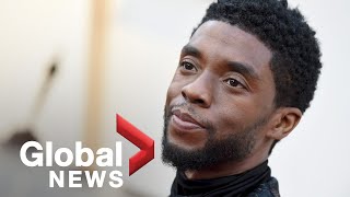 quotBlack Pantherquot star Chadwick Boseman dies of cancer at age 43 [upl. by Adniram]