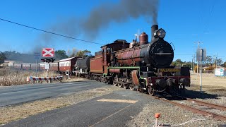 C17 974  SDSR Steam Train to Wallangarra  24062023 [upl. by Changaris104]