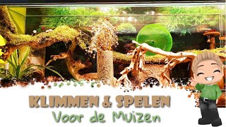 🐁 Muizen verblijf inrichten met plantjes amp Bloemen voor klimmen en spelen 1 [upl. by Tol]