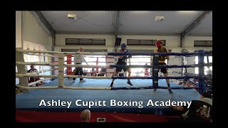 Cody Renouf vs Rhys OConnor  Ashley Cupitt Boxing Academy video [upl. by Anaila]