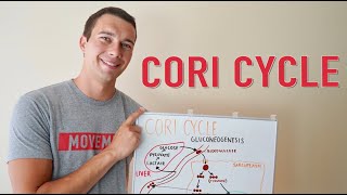 What is the Cori Cycle  Gluconeogenesis Explained Simply [upl. by Neema]