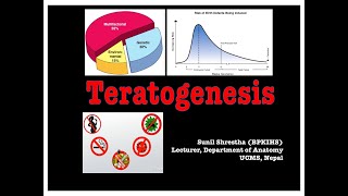 Teratogenesis Anatomy Shortcut channel [upl. by Ihcur393]