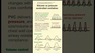 Movement of ribs and diaphragm during breathing viral trending ytshorts viralvideo biology [upl. by Husein]