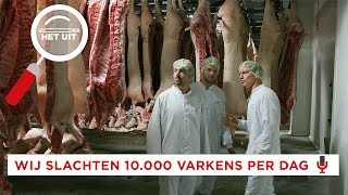 Zó maak je van een BIG een SCHNITZEL  Zoek het Uit  Bucket Boys [upl. by Sylvanus150]