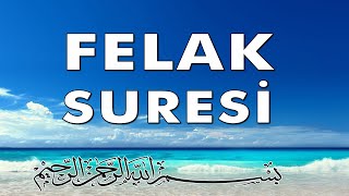 Felak Suresi  OKU KÖTÜLÜKLERDEN KORUN [upl. by Ralyat]