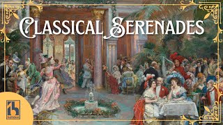 Classical Serenades  Mozart Tchaikovsky Schubert [upl. by Erodoeht]