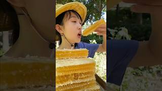 Eating raw honeycomb 🍯😋 satisfying shorts trending HunniBeeASMR VladandNiki farmya [upl. by Keeley]