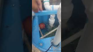 Sistema RAS para producción de Tilapias 🐟 [upl. by Hamal59]