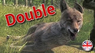 Hunting with Fape 7  quotCoyote Double with the new 223quot 13 English 1080p60fps [upl. by Nehcterg777]