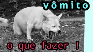 cachorro vomitando O que fazer  EBOOK GRÃTIS NA DESCRIÃ‡ÃƒO DO VÃDEO [upl. by Eicnarf412]