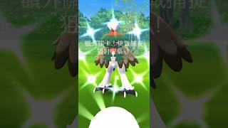 第1隻就是色違洗翠狙射樹梟 211日 14001700 ジュナイパー（ヒスイのすがた） Hisuian Decidueye pokémongo ポケモンgo decidueye [upl. by Akenehs]