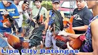 Blog 12  Madami malaQUALITY manok pero MURA lng Lipa city livestock auction market [upl. by Eelanej605]