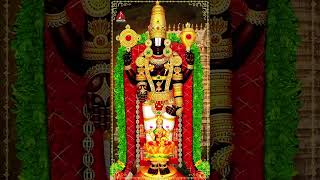 Venkateswara Swamy Songs  Tirumala Tirupati Venkanna Song  YTShorts  Lord Balaji Bhakti Patalu [upl. by Bryan488]