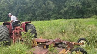 Mowing at my cousins place tractor farmall 1066 [upl. by Airdna247]