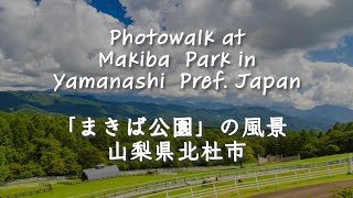 Photowalk at Makiba Park in Yamanashi Prefecture Japan for some Landscape Photography（山梨県立「まきば公園」） [upl. by Anuahsed705]