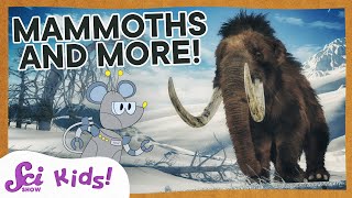 Woolly Mammoths Mastodons and Amazing Teeth  SciShow Kids [upl. by Lean772]