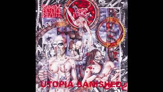 Napalm Death  Cause and Effect Part 2 Official Audio [upl. by Scuram338]