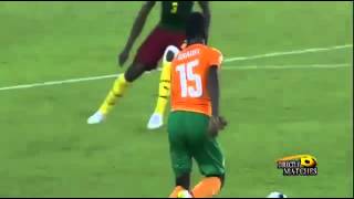 Côte dIvoire vs Cameroun 10  but Fantastic Max Alain Gradel Can 2015 [upl. by Anitteb251]