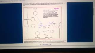 Biochemistry of OrganicPhosphorous Nerve Agents [upl. by Shandeigh817]