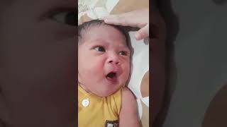 Baby Noni yang menggemaskan  amazing baby cute [upl. by Eerol959]