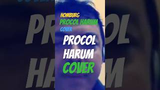 Procol Harum  Cover  Homburg [upl. by Ivette390]