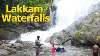 Lakkam Waterfalls Munnar I லக்கம் அருவி சுற்றுலா I VillageDatabase [upl. by Ahsel694]