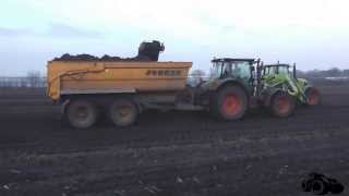 Schnittlauch Ernte 2013 mit Claas Arion [upl. by Heidy]