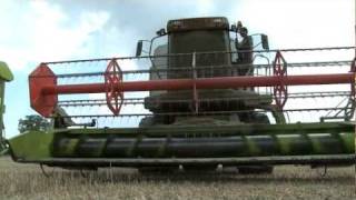 Shooting rabbits from a combine harvester [upl. by Florine]