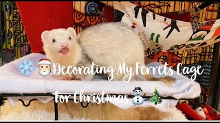 Decorating My Ferrets Cage For Christmas❄️🎄 [upl. by Vittorio853]