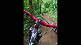 MTB Send it mtb downhillbike indomountainbike sepedamtbdownhill gowes indonesiandownhill [upl. by Griffy]