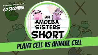 Plant vs Animal Cell  Amoeba Sisters Shorts [upl. by Duquette]