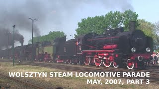 Wolsztyn Steam Locomotive Parade 2007 Part 3 [upl. by Yerroc]