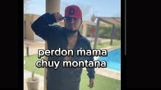 perdon mama chuy montana [upl. by Dex]