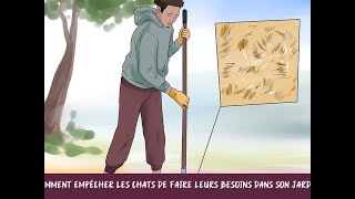 Comment empêcher les chats de faire leurs besoins dans son jardin [upl. by Sonaj]