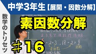 素因数分解【中学3年生 展開・因数分解】数学 [upl. by Atiugal]