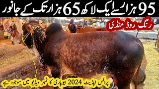 Ring Road Mandi Peshawar 2024  Cow Mandi 2024 peshawar  Maveshi Mandi  Qurbani janwar 2024 [upl. by Waine832]