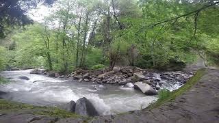 ბორჯომის ცენტრალური პარკი  Borjomi Central Park [upl. by Ttihw]