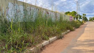 Cleaning up overgrown sidewalk For Beautifully Revived Sidewalks [upl. by Melba510]