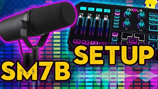 Shure SM7B amp GoXLR Setup For Live Streaming  Best Microphone Settings [upl. by Lasiaf]