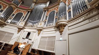 HÄRLIG ÄR JORDEN med organist Elis Helenius i Helsingfors domkyrka [upl. by Ttehr]