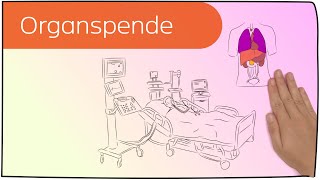 Organspende in 3 Minuten erklärt [upl. by Htebzil]