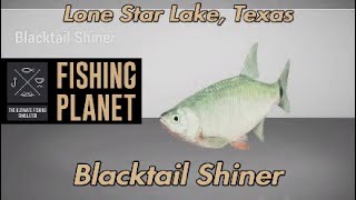 Blacktail Shiner Lone Star Lake Texas Fishing Planet Guide [upl. by Nylcsoj909]