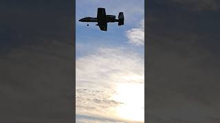 Mini Warthog the umx A10 Thunderbolt II [upl. by Dj83]