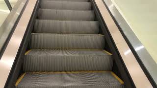 The Curse of the Elevator at JCPenney Ridgedale Mall Minnetonka MN [upl. by Montgomery]