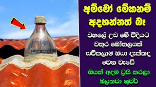 ඔබ මේවා දකින්නේ ජිවිතේ පළමු වතාවට EP370 [upl. by Ynnavoeg]