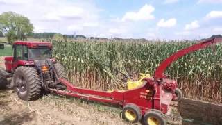 Klein farms chopping hay and corn [upl. by Ribble]