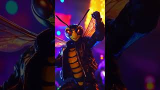 Rockin Wasp The Ultimate Insect Concert [upl. by Yrot]